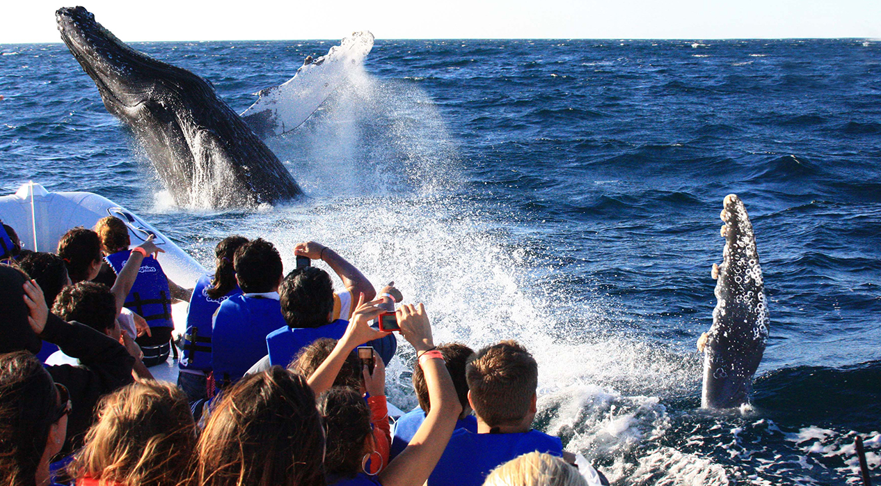 things-to-do things-to-do